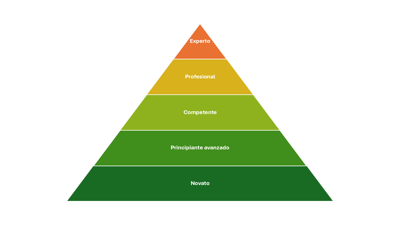 DREYFUS ¿Qué es este modelo?